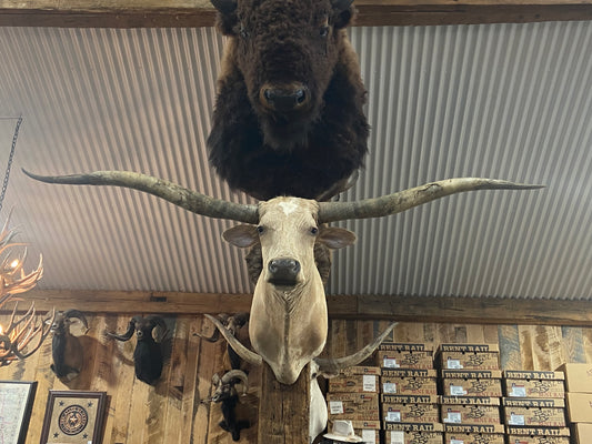 TAN LONGHORN MOUNT