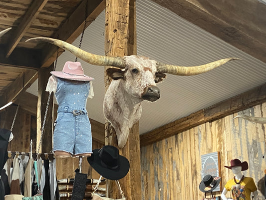 ORANGE WHITE SPECKLE LONGHORN MOUNT