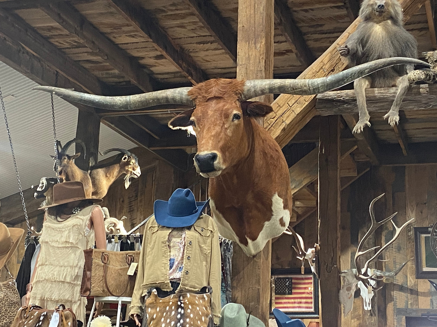 RED AND WHITE LONGHORN MOUNT